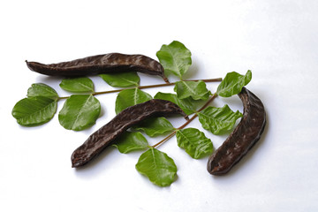 Carob, goat horn (ceratonia)