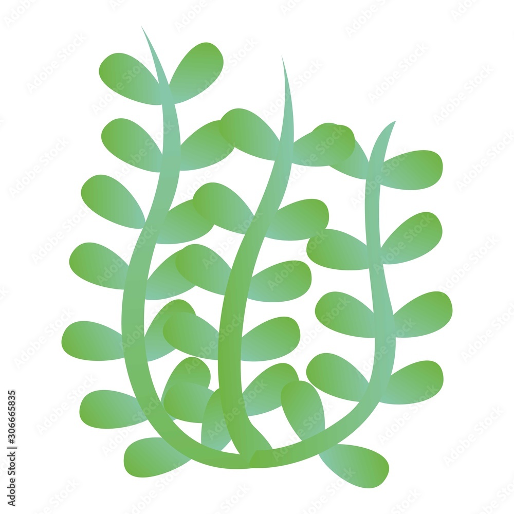 Poster algae icon. cartoon of algae vector icon for web design isolated on white background