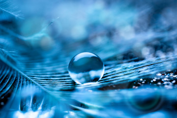 Beautiful transparent water drops or rain water on soft background. Macrophotography. Desktop background. Selective focus.