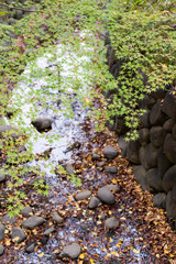 東京都千代田区日比谷の公園の風景