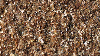 The wooden surface is dark brown for background