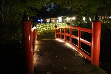 朱塗りの橋　夜の和風庭園　Japanese old style bridge