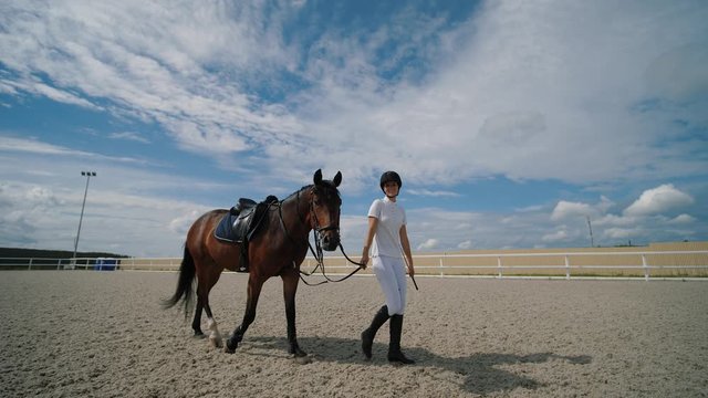 Young woman horseman walk with brown horse holding the reins at sandy parkour riding arena. Training horses at outdoors, equestrian sport. Slow motion.