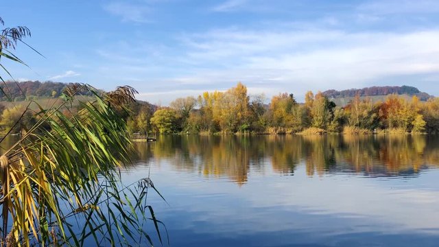 Bird nature reserve lake view, real time shot