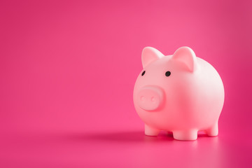 Piggy Bank pig pink on solid background with hard light, minimal style