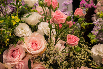 Pink rose on a flower background at decorated to celebrate the anniversary inside department store and shopping. Select focus.