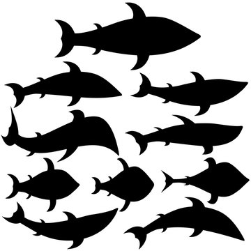 Set of icons fishes of different shapes and types. Black silhouettes. Vector illustrations.
