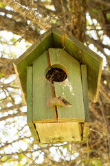 small bird house