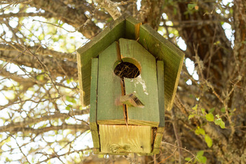 small bird house