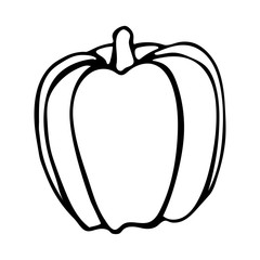 Vector hand drawn outline illustration of bell pepper. Black contour doodle in line art style. Sketch of farm and garden vegetable. Isolated contour icon. Coloring book design element