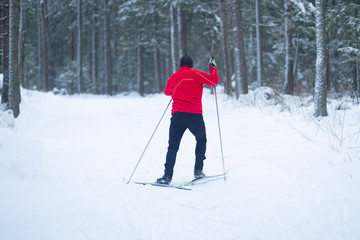 Cross country. A skier is skiing in winter in the woods.