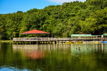 Obraz premium dock on the lake