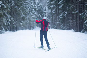 Cross country. A skier is skiing in winter in the woods.