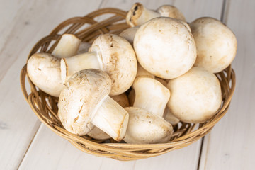 Lot of whole fresh white champignon in round rattan bowl on white wood