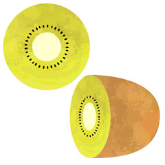 Illustration of kiwifruit cut in half