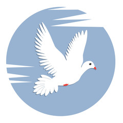 Pigeon flying - round icon - isolated on white background - vector. Environmental Protection. Animal world.