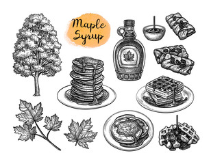 Ink sketches of desserts with maple syrup. - obrazy, fototapety, plakaty
