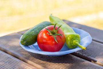 Salad on picnic table
