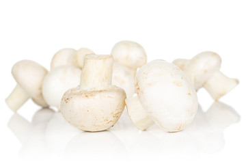 Lot of whole fresh white champignon heap isolated on white background