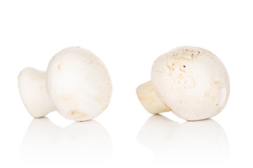 Group of two whole fresh white champignon isolated on white background