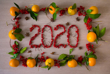 Food. Viburnum and tangerines, 2020