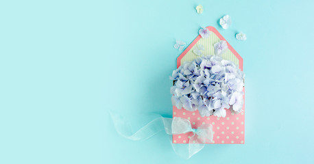 Beautiful bouquet of blue hydrangea in a floral envelope on a blue background. Flat lay, top view 