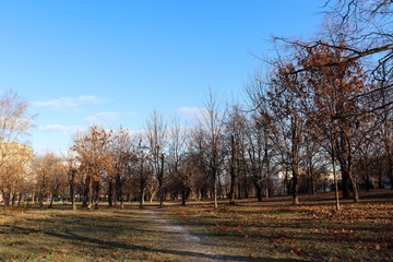 autumn in the park