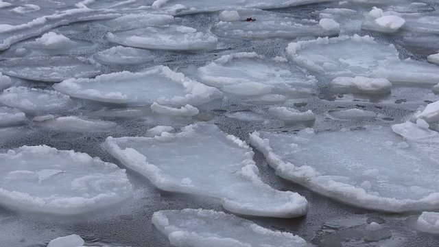 Ice floes floating in cold frozen sea water. 