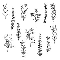 Set of contour cute flowers and twigs in a doodle style without shading and a black stroke. Isolated objects on a white background. Stock vector illustration.