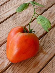 cœur de bœuf intense