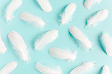 Fototapeta na wymiar White feather texture on a blue background. Feather background. Flat lay, top view