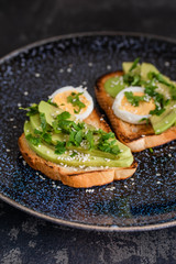 Tasty sandwich with avocado and egg on a dark blue plate. served on fried bread with avacado, egg, basil, sesame seeds and olive oil.