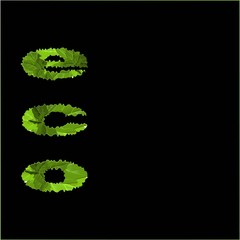 Inscription eco. Logo design. Floral logo. Abstract green icon on light background. Leaf vector texture pattern background. Eco design vector illustration