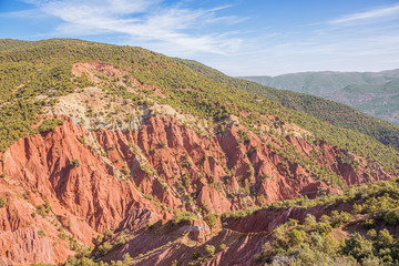 View of Tagargoust forest on National Road 9 from Marrakech to Ouarzazate