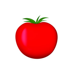Fresh Red Tomato Vegetable isolated on white background. Organic Food. Cartoon flat style. Vector illustration for Your design, web.