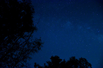 Fototapeta na wymiar Night sky with star.