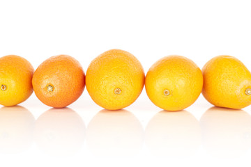 Group of five whole tasty orange kumquat isolated on white background