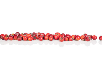Lot of whole wild red rowanberry in row isolated on white background