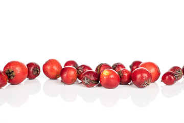Lot of whole arranged wild red rowanberry isolated on white background