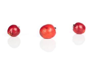 Group of three whole wild red rowanberry isolated on white background