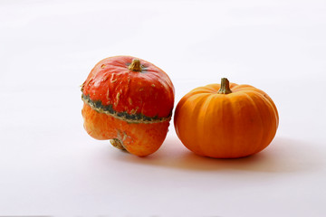 Colorful natural tiny ornamental pumpkins