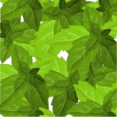 Forest foliage. Leaf texture. Green leaves frame template. Beautiful abstract design template with green leaves on background for decorative design