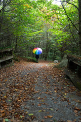 Arcoiros en Otoño