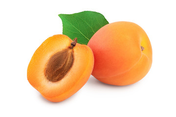 Apricot fruit isolated on white background macro