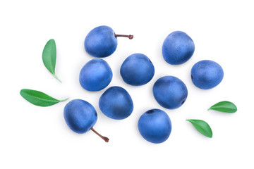 Blackthorn or Sloe berries with leaves isolated on white background. Prunus spinosa. Top view. Flat lay