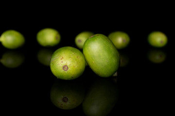 Group of seven whole hardy green kiwi isolated on black glass