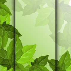 Forest foliage. Leaf texture. Green leaves frame template. Beautiful abstract design template with green leaves on background for decorative design