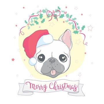 Christmas card. Image Portrait of French bulldog in Santa hats. Vector illustration.