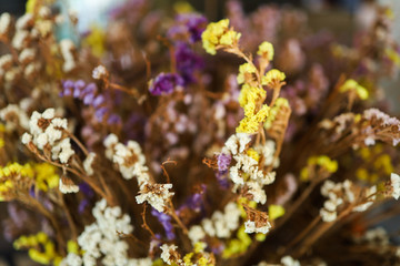Yellow close up dried flowers macro