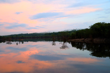 beautiful reflection of trees in the river - Rio Negro, Amazon, Brazil, South America